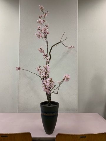 いけばな 池坊中研 教養bでの勉強 花 Hana いけばな くらし 楽天ブログ