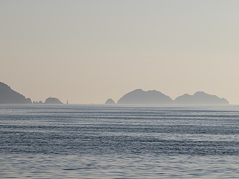 IMG_4548.jpg