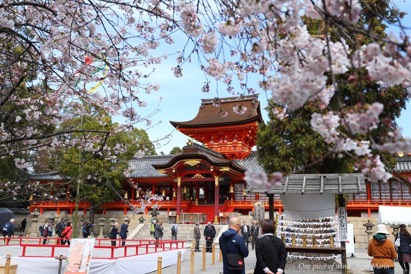桜咲く石清水八幡宮 ひとひらの風 楽天ブログ 桜咲く石清水八幡宮 ひとひらの風 楽天ブログ