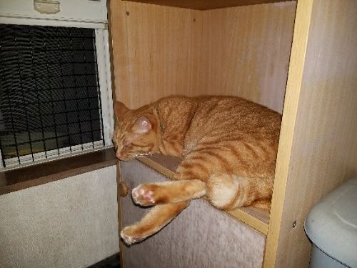 rblog-20170821161207-01.jpg