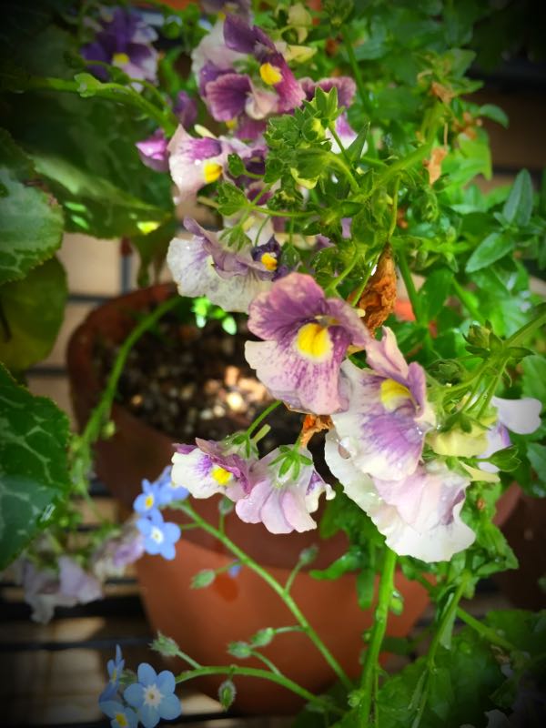 rblog-20160426005610-06.jpg