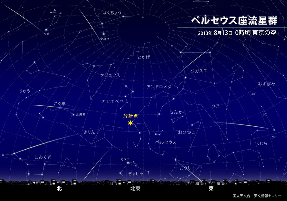 ペルセウス座流星群画像