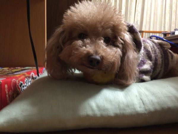 rblog-20160102201904-01.jpg