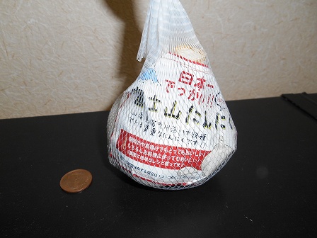 富士山にんにく 20131102