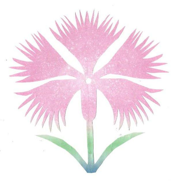 常夏 なでしこ 男性もやまとなでしこ 60ばーばの手習い帳 楽天ブログ