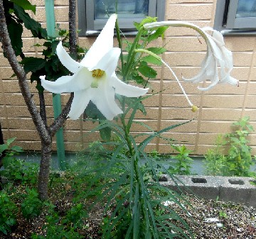 DSCN2542.JPG