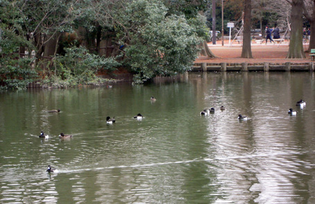 別所沼公園