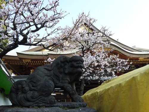 湯島天神