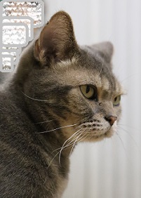 7D2_1828-9.jpg