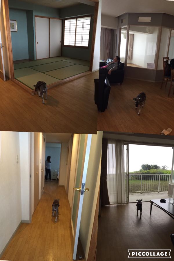 rblog-20160423234313-07.jpg