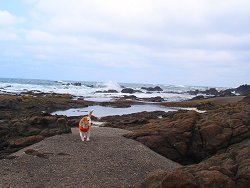 20130428道の駅あつみ