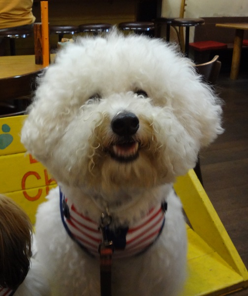 DSC00326.jpgクエスチョン.jpg
