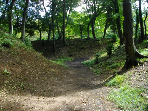 逆井城本丸空堀 (500x375).jpg