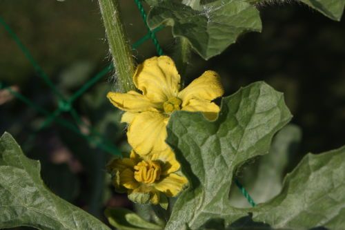 2015061504.JPG