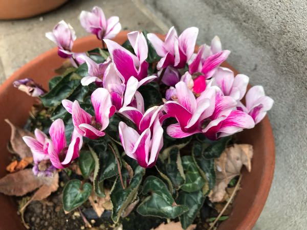 rblog-20190426181233-01.jpg