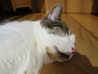 IMG_2266ss.jpg