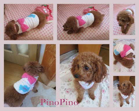 ２０１４PINOPINO.jpg