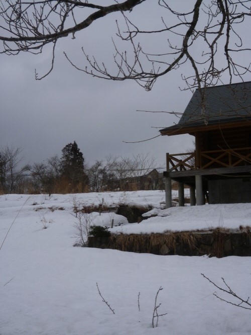 P1140674(1).JPG