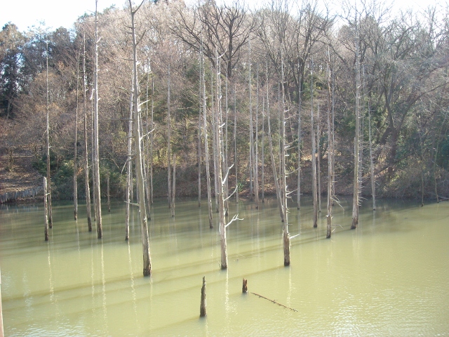 公園２