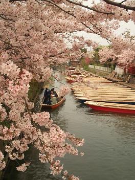 柳川2.jpg
