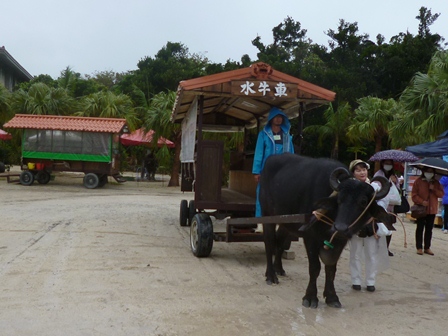 竹富島2.JPG