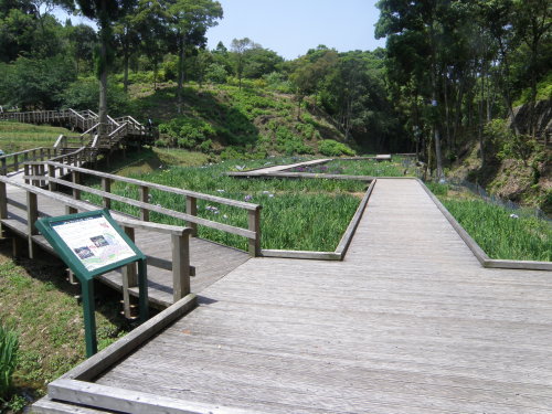 20140530_521.jpg