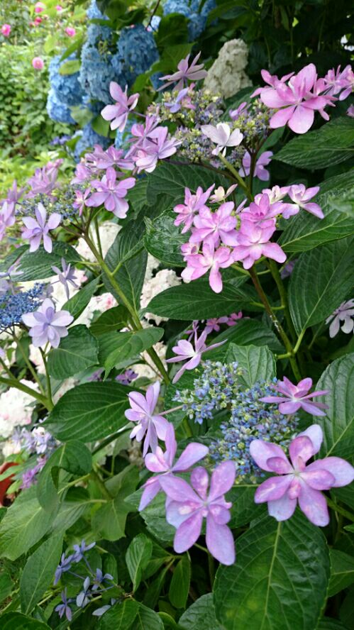 rblog-20160618130354-07.jpg