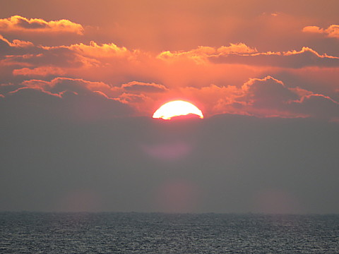 IMG_8077.jpg