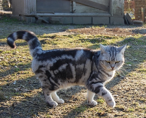 DSC_0230.JPG