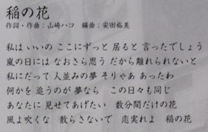 稲の花の歌詞.jpg