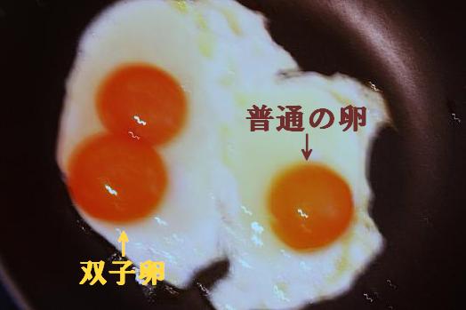 双子卵の目玉焼き.jpg