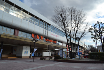 p6.jpg