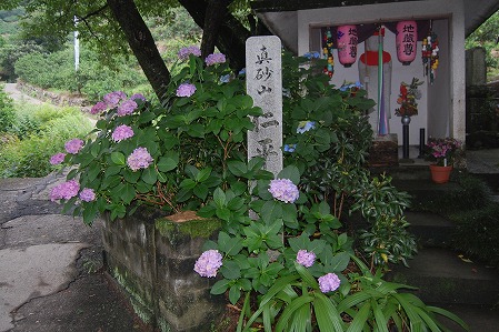 DSC_0943.jpg