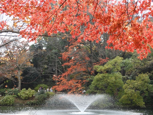 井の頭自然文化園