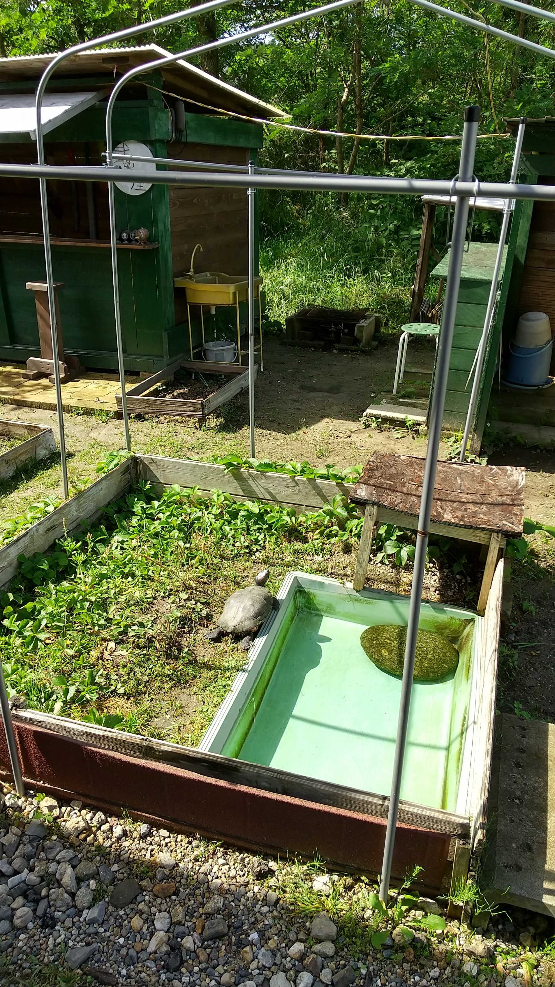 カメの小屋 自作ライフのすすめ 楽天ブログ