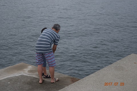 DSC_0201.jpg