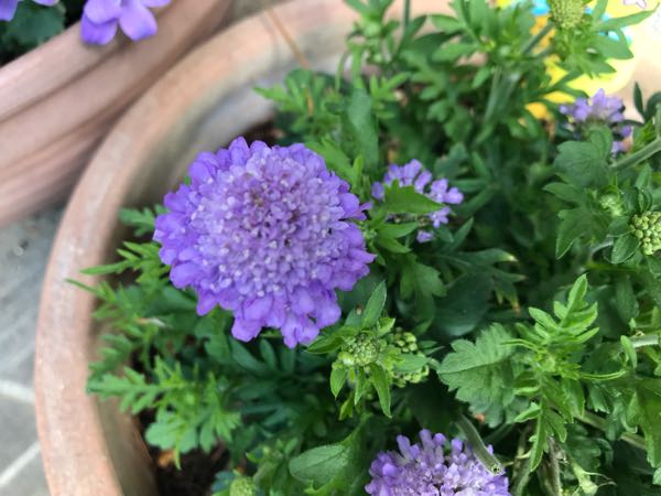 rblog-20180408162109-06.jpg