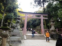 2012-11-24 11.00.36.jpg