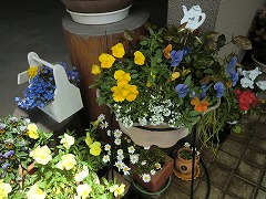 s-20120502 (8).jpg