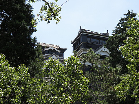 IMG_4761.jpg