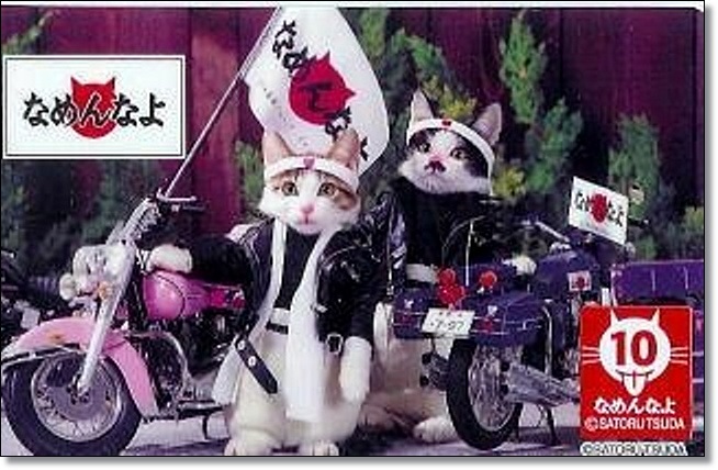 nameneko5