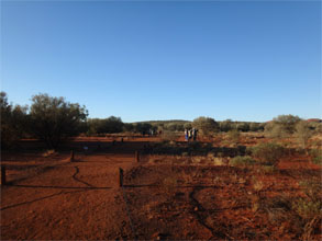 OZ777.jpg