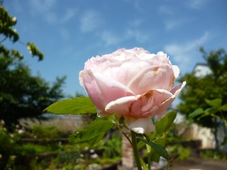 P1060389ss.jpg
