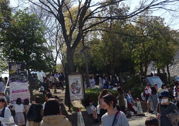 先日 お花見に大阪城に行ってきました ぐる り 京のお散歩 楽天ブログ