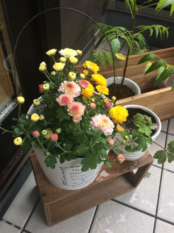 rblog-20141124081626-02.jpg