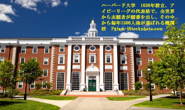 ｱｲﾋﾞｰﾘｰｸﾞｰ1