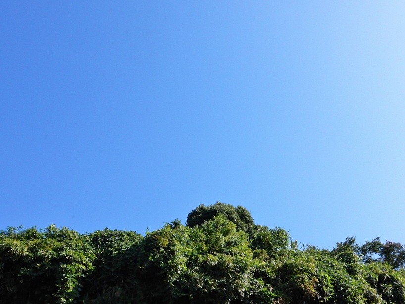 空5.JPG