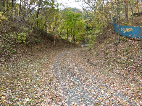 P1120481.JPG