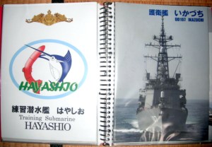 130531はやしお