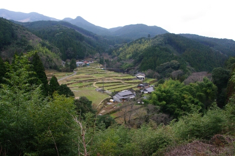 153.棚田が見えてきました